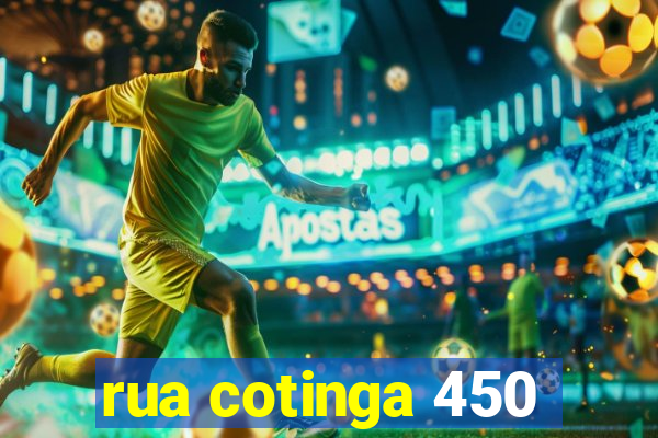 rua cotinga 450