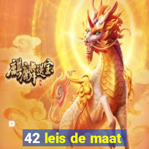 42 leis de maat