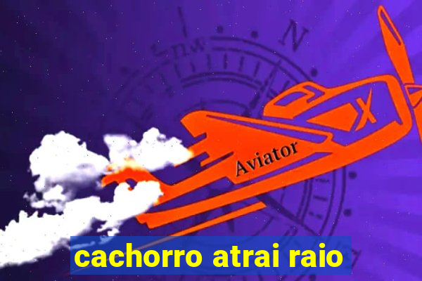 cachorro atrai raio