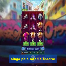 bingo pela loteria federal