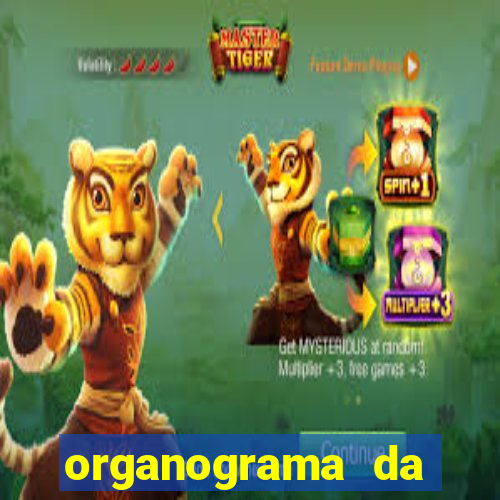 organograma da cacau show