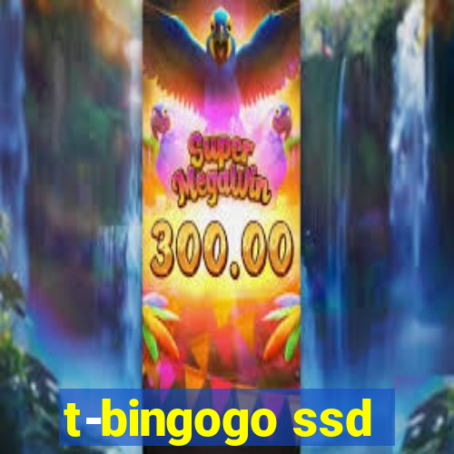 t-bingogo ssd