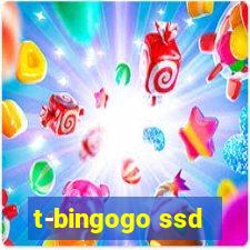 t-bingogo ssd