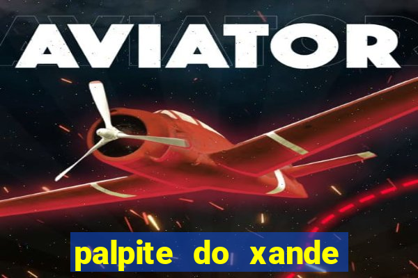 palpite do xande de hoje