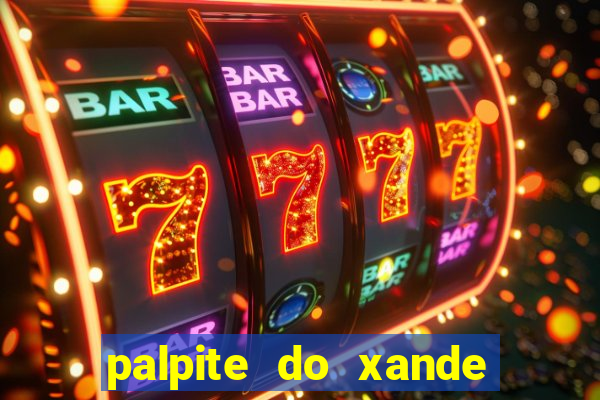 palpite do xande de hoje