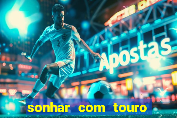 sonhar com touro mega sena