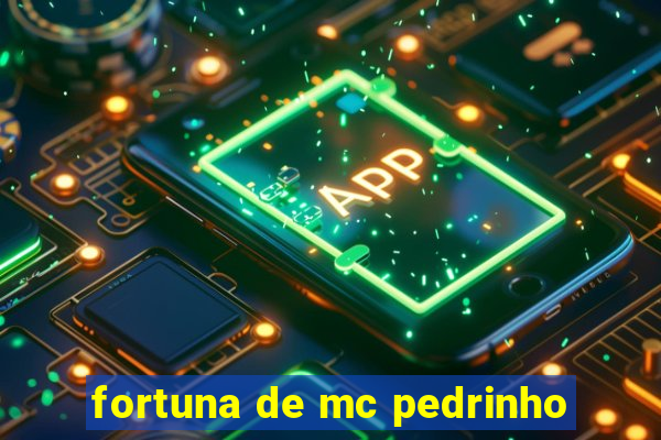 fortuna de mc pedrinho