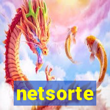 netsorte