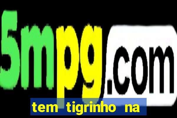 tem tigrinho na bet 365