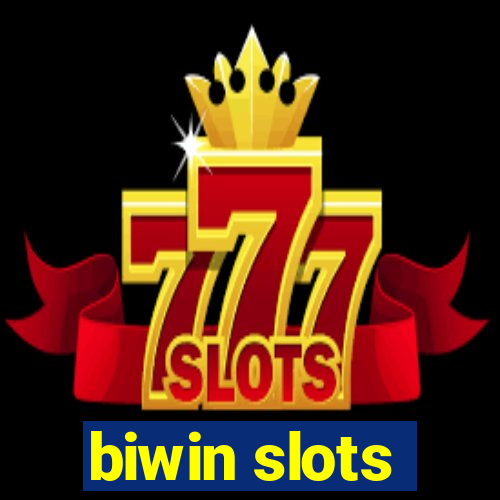 biwin slots