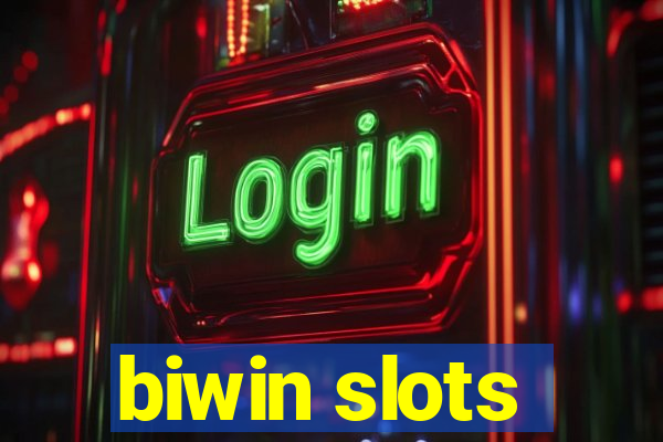 biwin slots