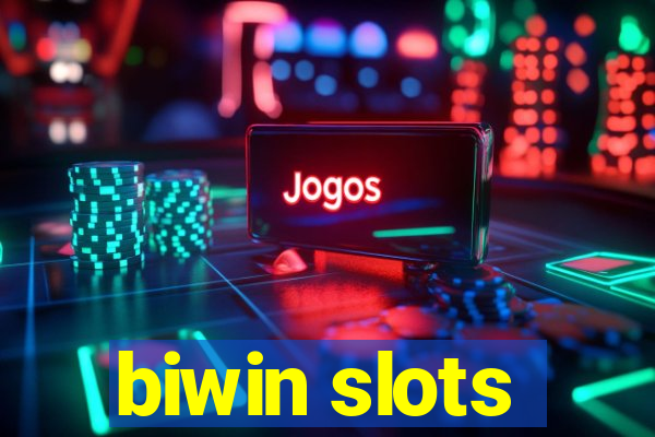 biwin slots