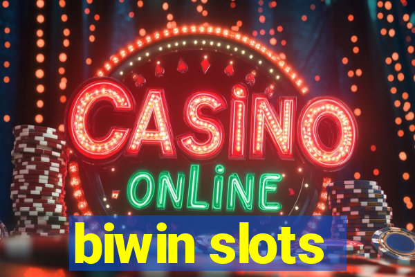 biwin slots