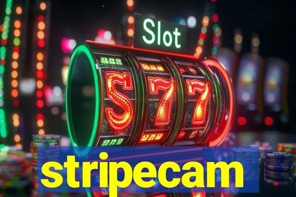 stripecam