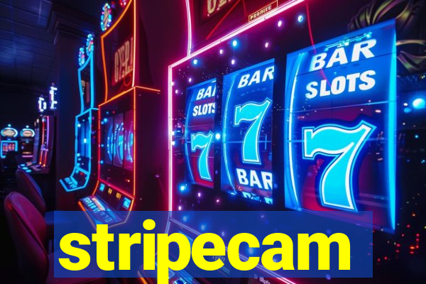 stripecam