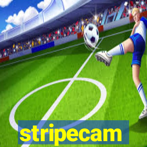 stripecam