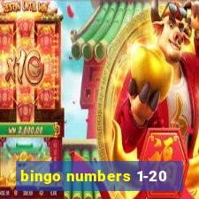 bingo numbers 1-20