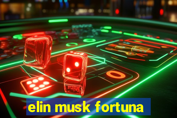 elin musk fortuna