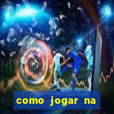 como jogar na lotinha do jogo do bicho