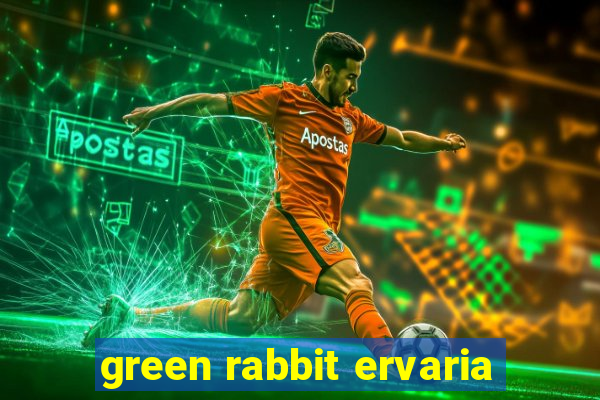 green rabbit ervaria