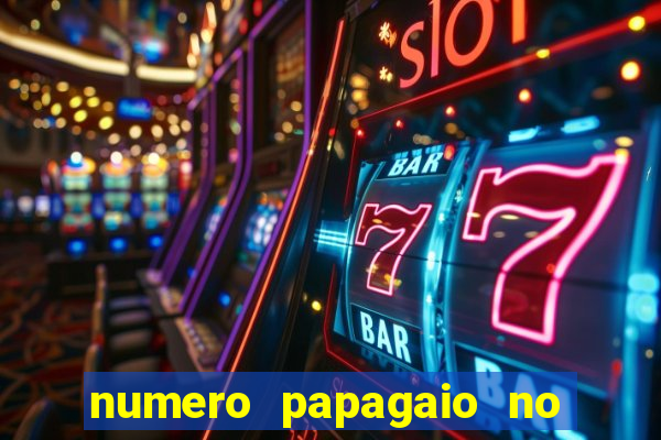 numero papagaio no jogo do bicho