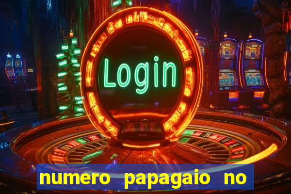 numero papagaio no jogo do bicho