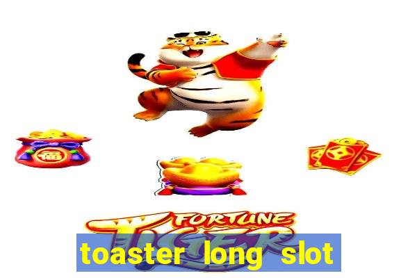 toaster long slot 2 slice