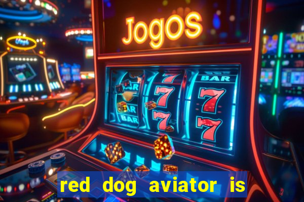 red dog aviator is real or fake