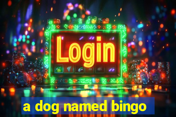 a dog named bingo