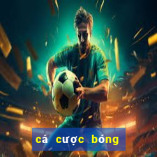 cá cược bóng đá online