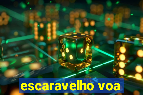 escaravelho voa