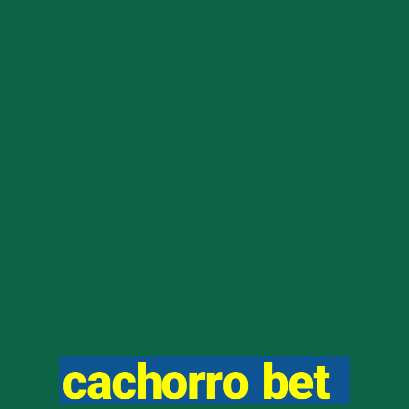 cachorro bet