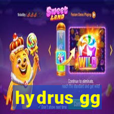 hydrus gg