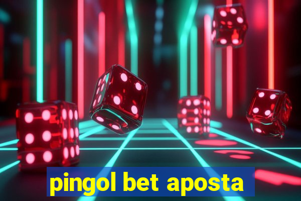 pingol bet aposta