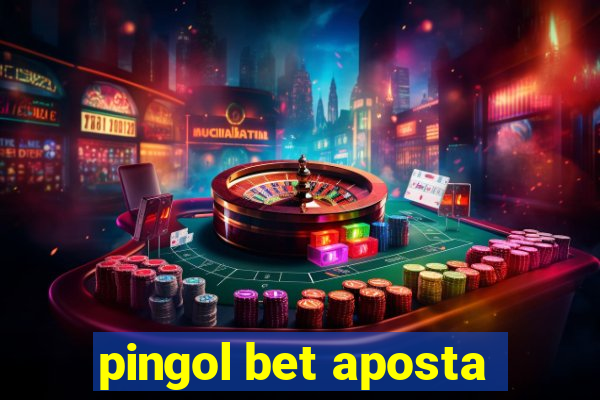 pingol bet aposta