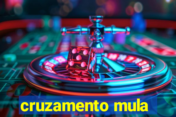 cruzamento mula