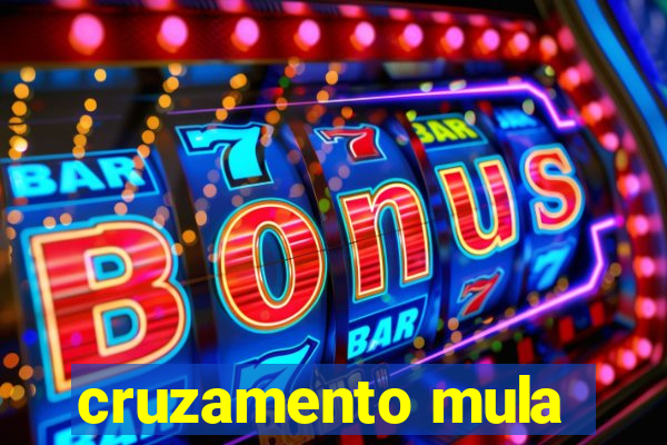 cruzamento mula