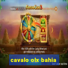 cavalo olx bahia