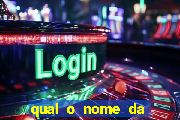 qual o nome da casinha do pinguim