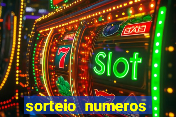 sorteio numeros bingo online