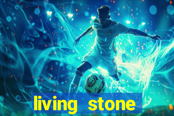 living stone network tv