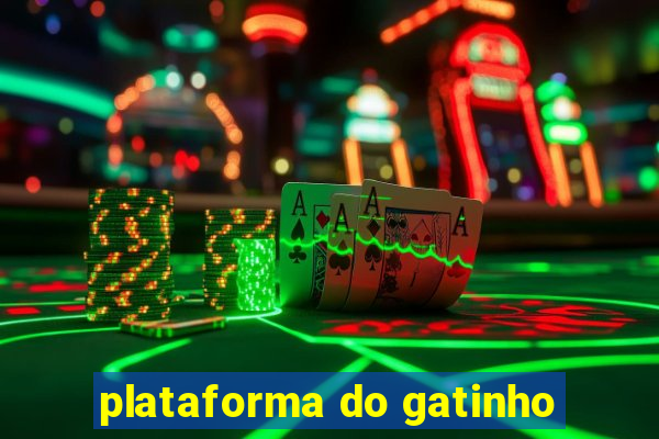 plataforma do gatinho