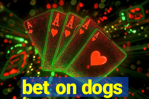 bet on dogs