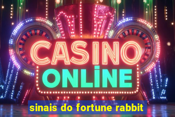 sinais do fortune rabbit