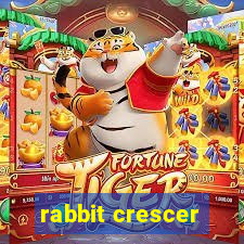 rabbit crescer