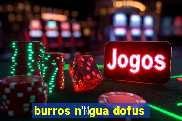 burros n'谩gua dofus