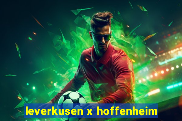 leverkusen x hoffenheim