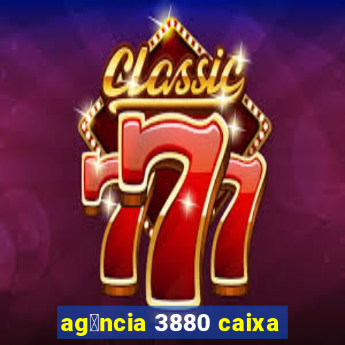 ag锚ncia 3880 caixa