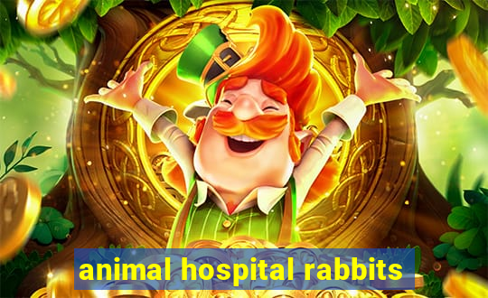 animal hospital rabbits