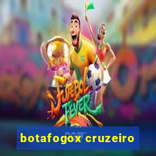 botafogox cruzeiro